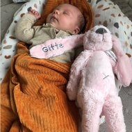 Knuffel Rabbit Richie Pink met naam